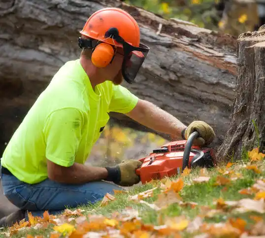 tree services Harrison